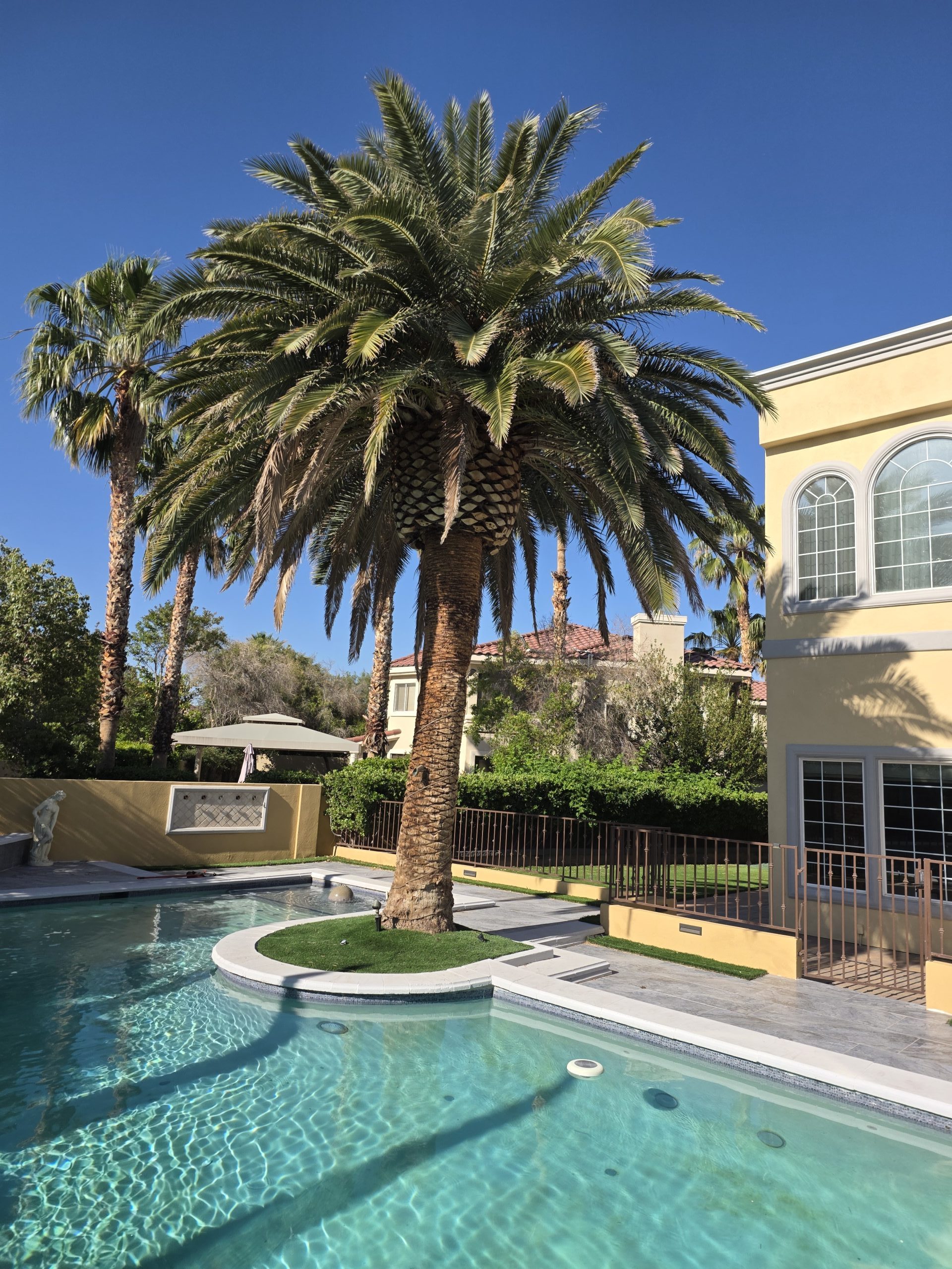 Superior Tree Service crew skinning and shaping a tall palm in Summerlin